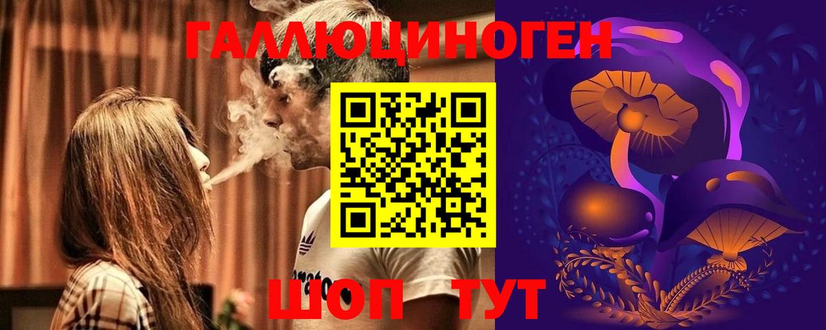 Псилоцибиновые грибы MAGIC MUSHROOMS  Вход с VPN  купить наркоту  Шелехов  Псилоцибиновые грибы прущие грибы 